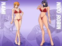 one_piece_nami_x_nico_robin_20110626_007.jpg